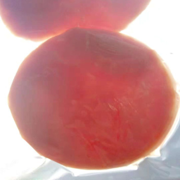 特斯特護(hù)色寶產(chǎn)品介紹