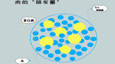 特斯特?zé)o磷保水記