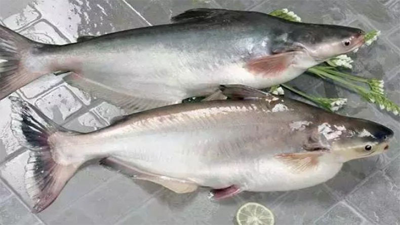 特斯特水分保持劑M86