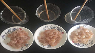 特斯特蝦仁保水劑M81產(chǎn)品簡(jiǎn)介