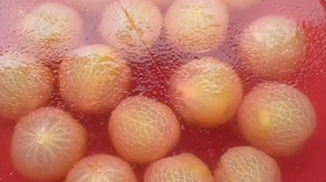 特斯特果涼粉家庭自制葡萄果凍