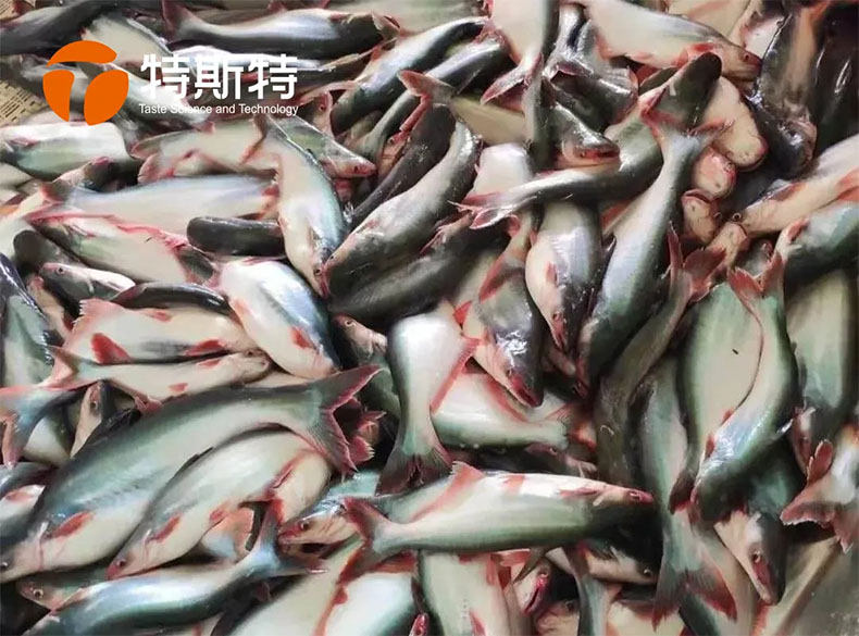 特斯特商學(xué)院