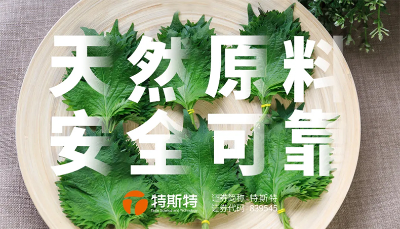 復(fù)合調(diào)味料